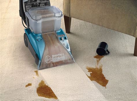 Carpet cleansr